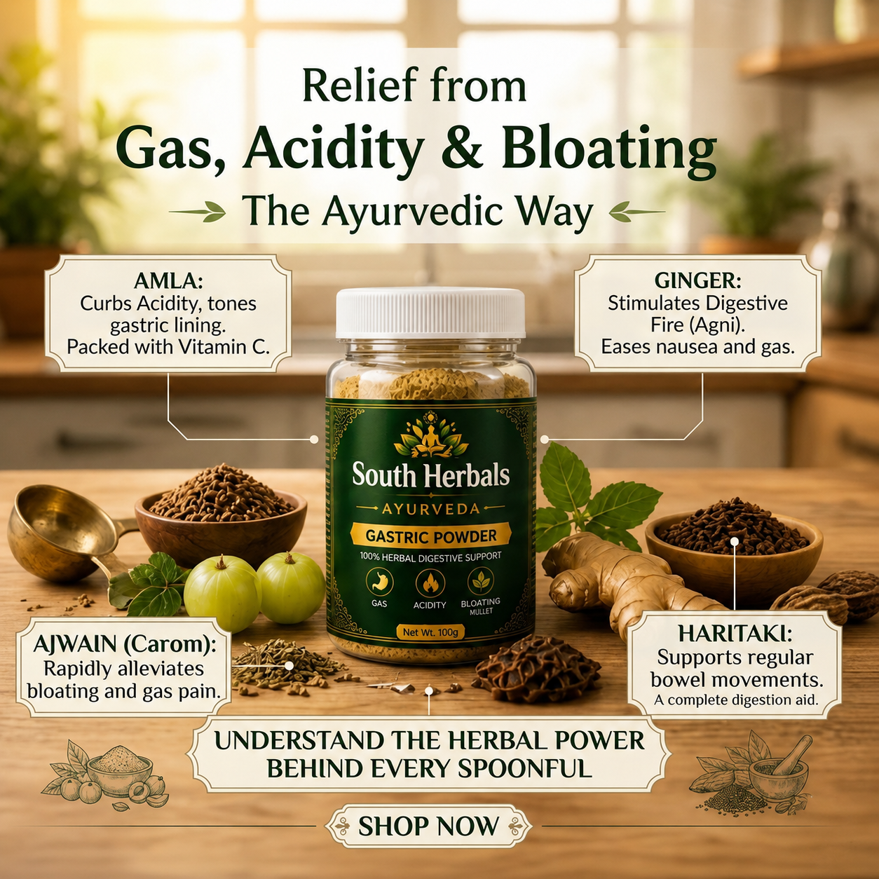 South Herbals Ayurvedic Gastric Powder - Gas & Bloating Relief